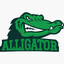 Alligator