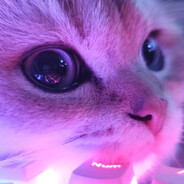 AAA建材松哥（不吃芫荽