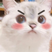 Fuddzy 's avatar