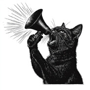 Department of Noise Director