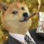 DogeGang