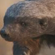 h.Badger