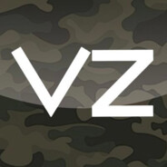 VZ - steam id 76561199249906340