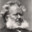 Henrik Ibsen