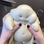 Doughbaby