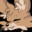 Kojuen