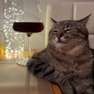 Aranko - steam id 76561199036968257