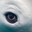 evil palmerhead Steam avatar