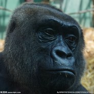 巅峰造极  林北吃海鲜