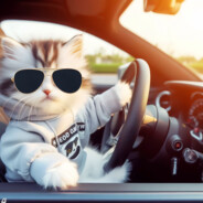 彼此追逐着,永隔着无法逾