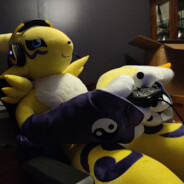 Average Renamon Enjoyer