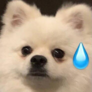 她说昨晚真没睡