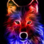 Im Lobo