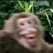 Mikoto Misaka(WW.II)