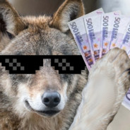 Scheinewolf