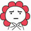 CR小五