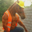 Avatar of player Пузо