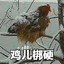 小轩不在