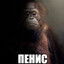 Жопа в говне