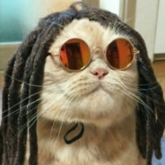 ErkanAlles - steam id 76561199079080045