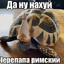 ПУЗОТРЯZOV's avatar