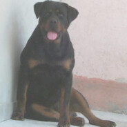 hipigram's avatar