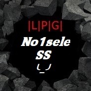 No1seleSS╰_╯