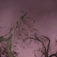 я проклят ? | FFannix<3