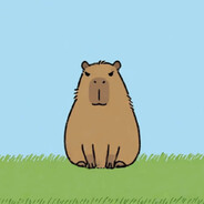 打豆豆的小周周