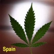 aKuna^! avatar