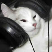 姐姐大人最好了