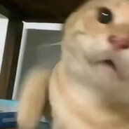 啊啊啊啊啊宝宝你是