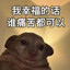 肚子