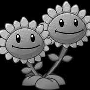 玉玉双头向日葵