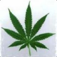 D芬D許