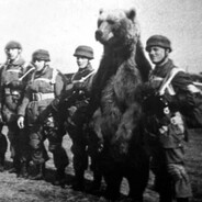 wojtek42 - steam id 76561199537499261