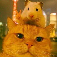 oh captian my captain