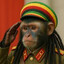 Jahmonkey mon