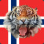 Norske Tiger