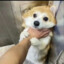 清风
