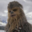 Chewbacca