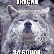 🐺ℬℴℐιᶄ🐺