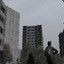 dayz脑残粉