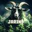 Jaring