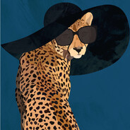 A Little Cheetah