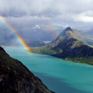 ——下等马分界——