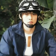 为什么小熊吃蜂蜜