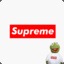 Supreme