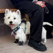 不分享家庭组谢谢