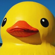 BIG DUCK